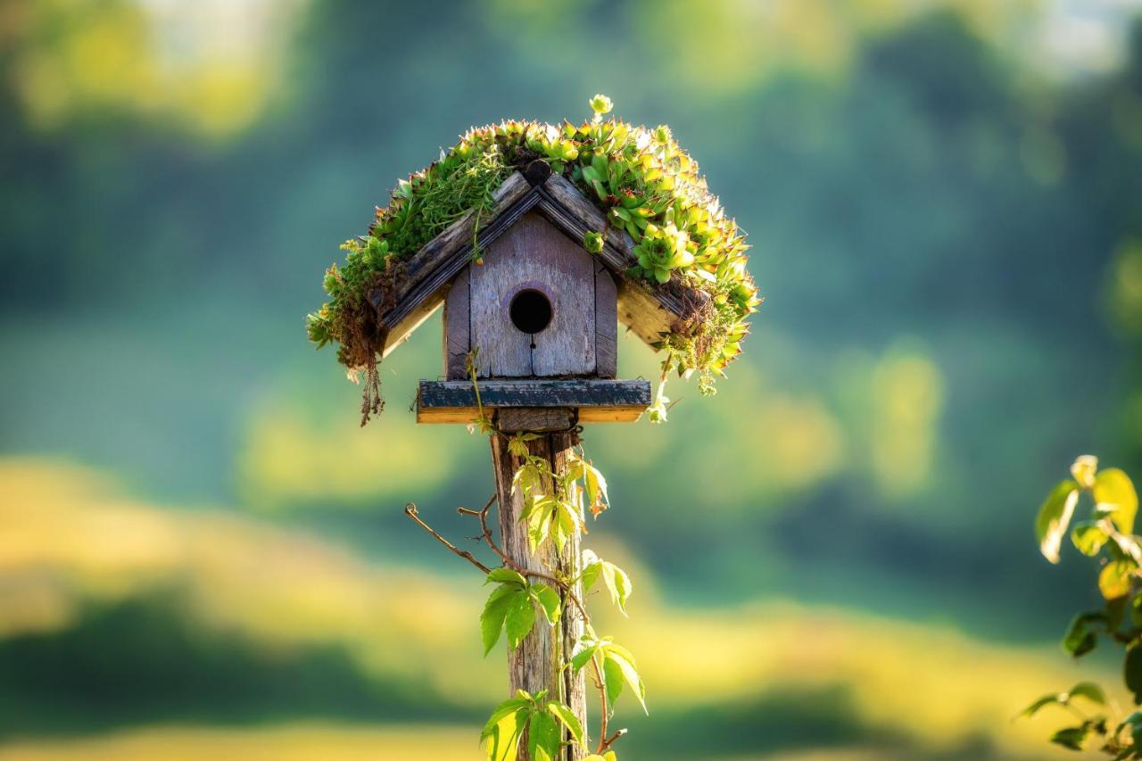 Farmstay Kotić Slunj Dış mekan fotoğraf